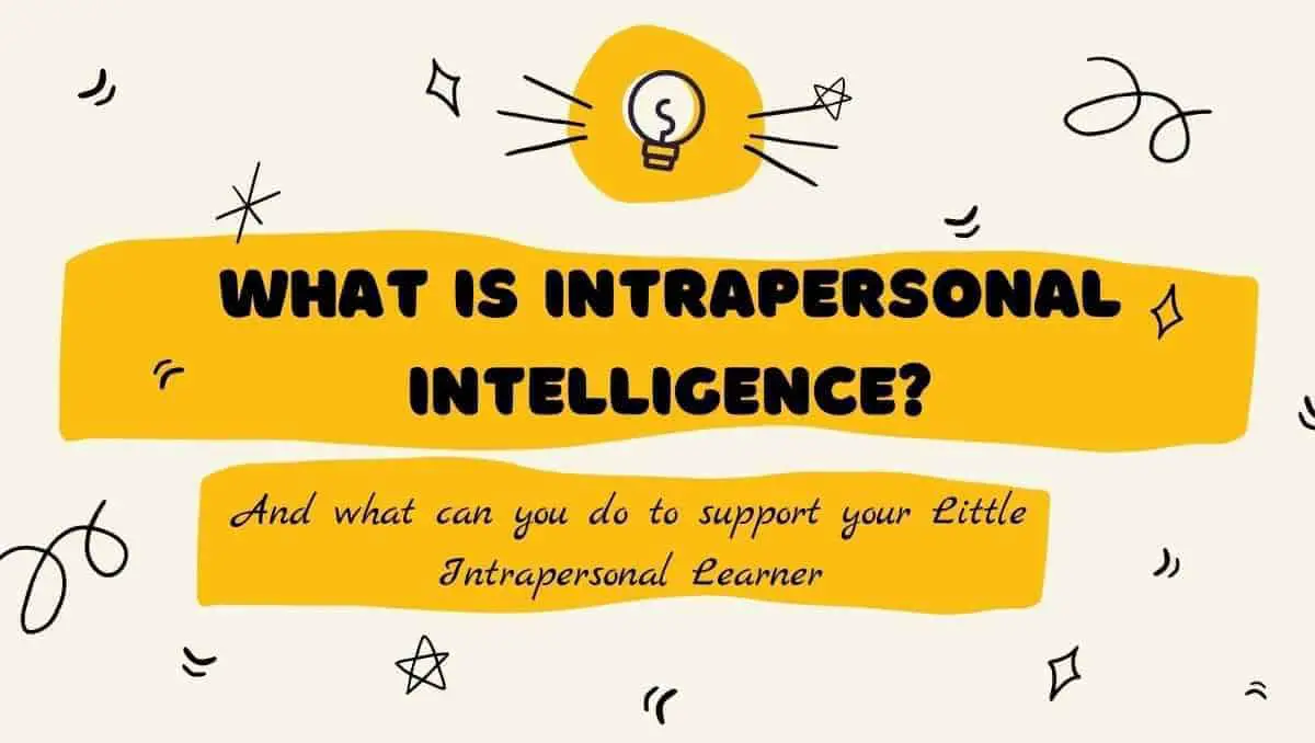 What is Intrapersonal Intelligence?