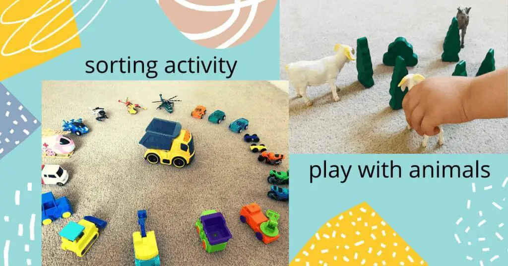 sorting and animals activities