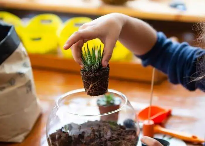 A naturalistic learner making a terrarium