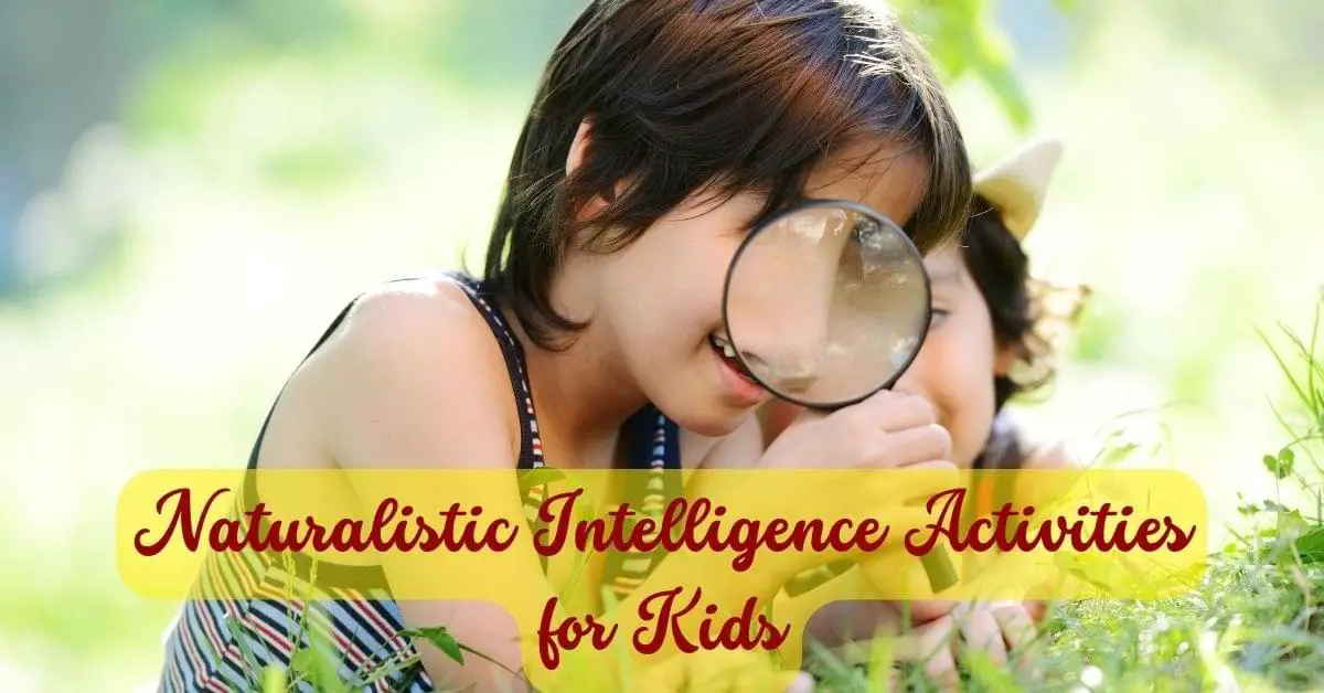 Naturalistic Intelligence Activities for Kids