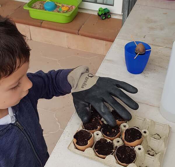 little boy making a garden from cracked egg shells