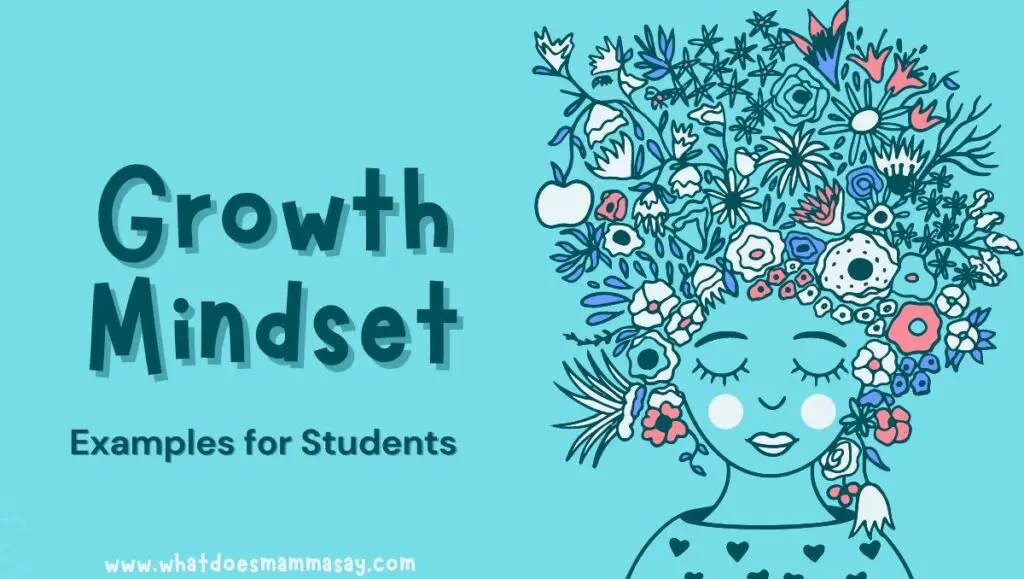 growth mindset examples for students